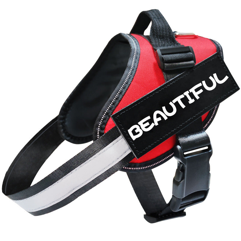 Dog Leash & Harness Set — Escape-Proof, Comfortable & Durable