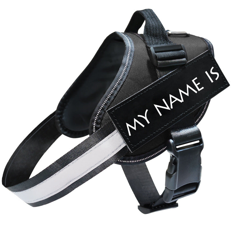 Dog Leash & Harness Set — Escape-Proof, Comfortable & Durable