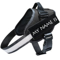 Dog Leash & Harness Set — Escape-Proof, Comfortable & Durable